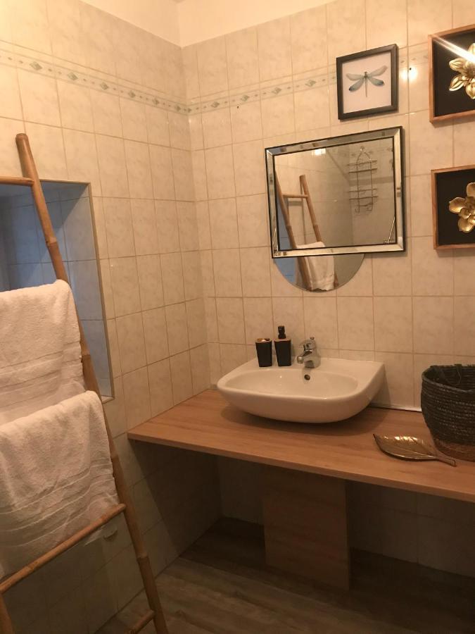 Appartement Cosy Le Safari Avec Wifi Annonay Eksteriør bilde
