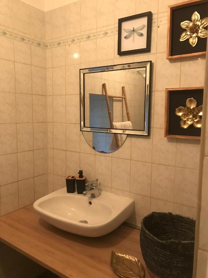 Appartement Cosy Le Safari Avec Wifi Annonay Eksteriør bilde