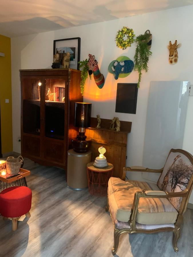Appartement Cosy Le Safari Avec Wifi Annonay Eksteriør bilde